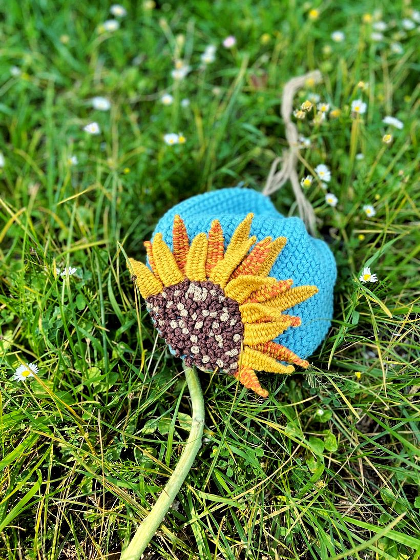 Girasoli estivi 5