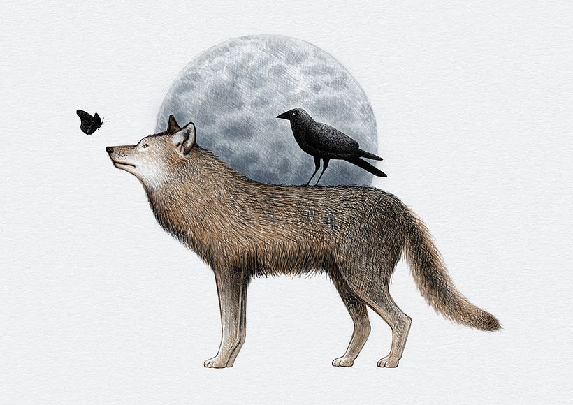 My project in Digital illustration with coloured pencils course -1