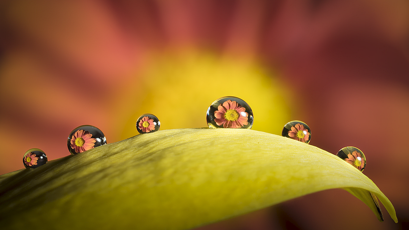 Photography Tutorial: How to Create Droplets With Glycerin 11