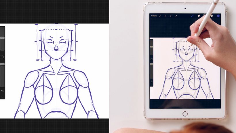 Illustration Tutorial: Basic Concepts of Female Anatomy 7