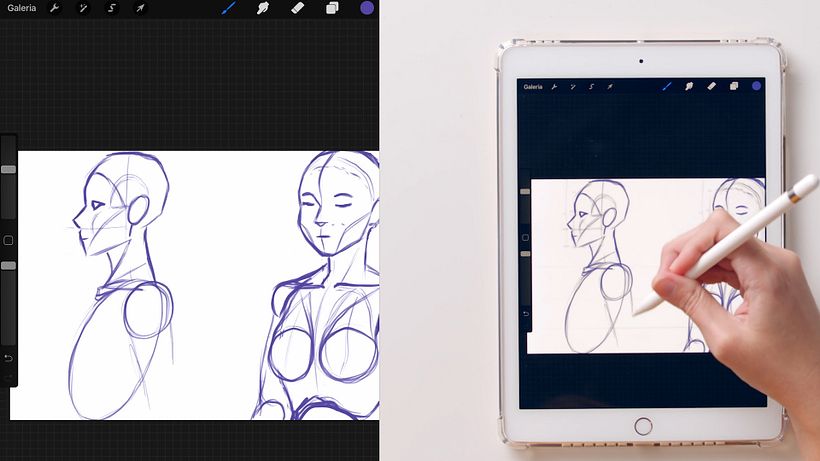Illustration Tutorial: Basic Concepts of Female Anatomy 12