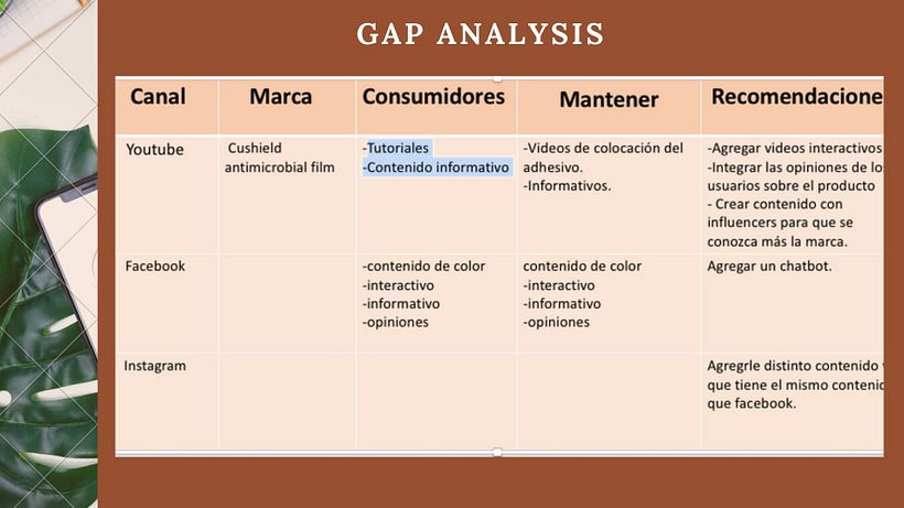 Mi Proyecto del curso: Introducción al community management 4