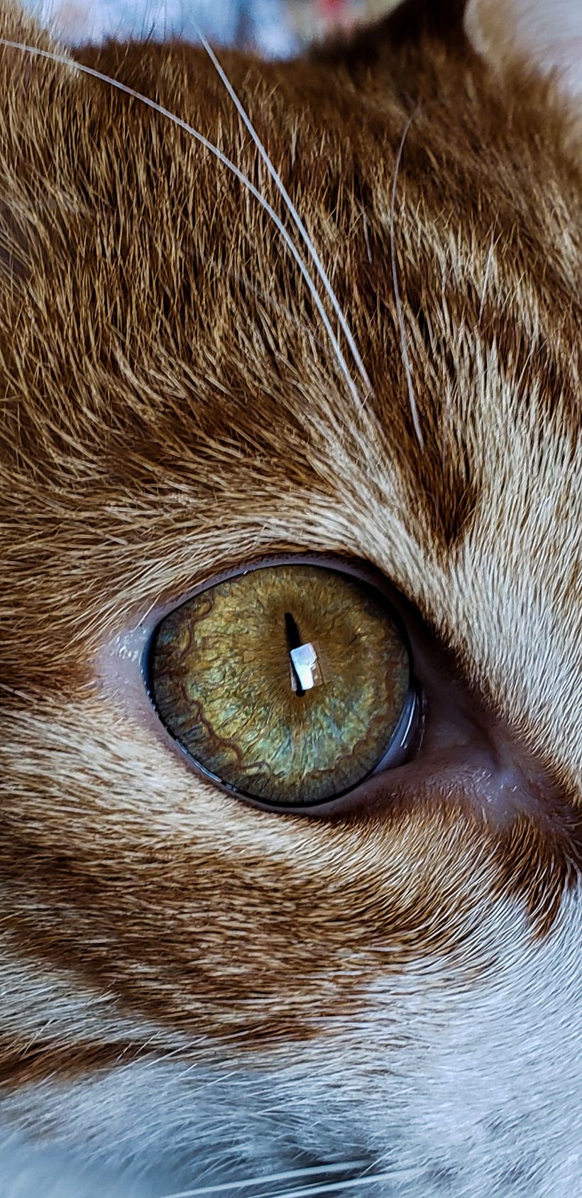 Hope eye 