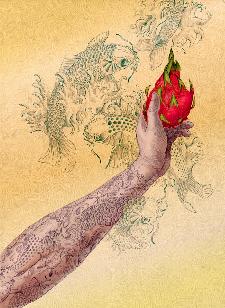 ILUSTRACIONES // 2do llamado 0