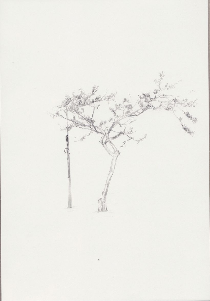 METONIMIA / animación 3