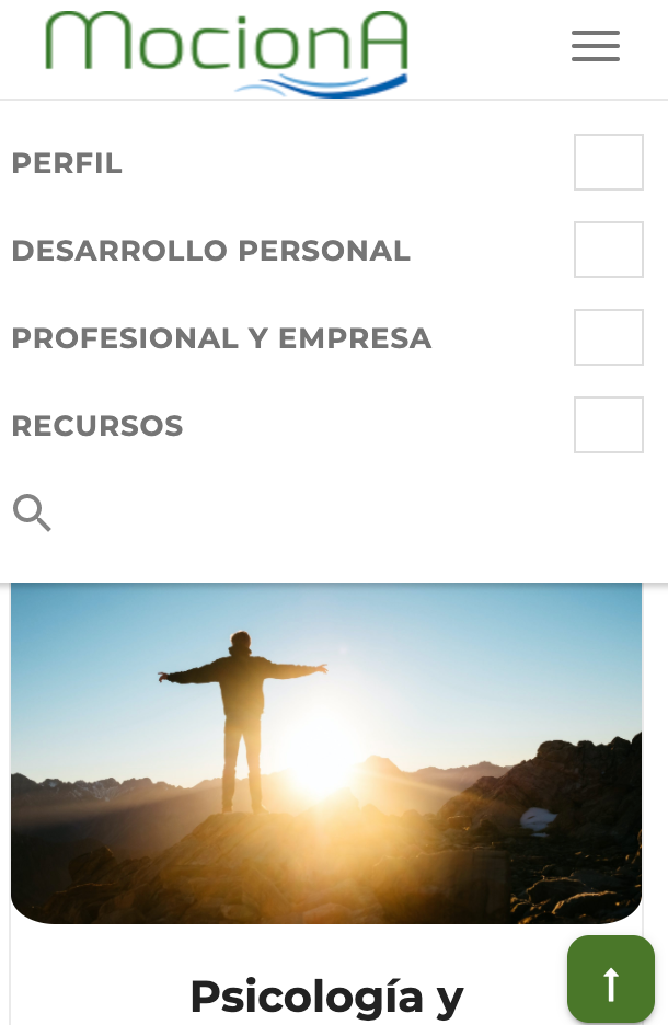 Responsive (mobil) - Menu