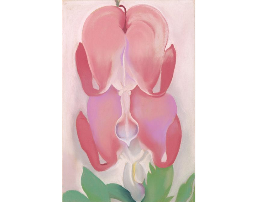 Bleeding Heart, Georgia O'Keeffe (1932). Georgia O’Keeffe Museum