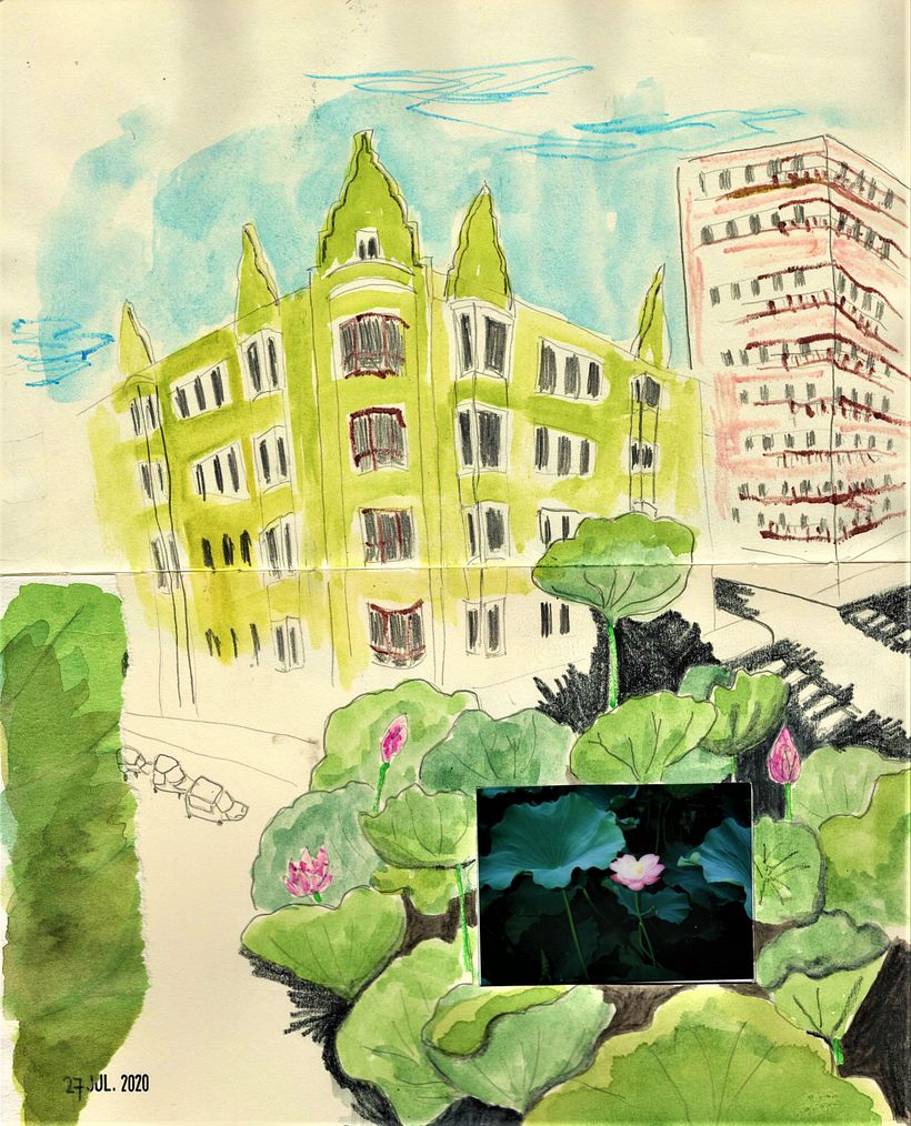  Cómo encontré varios lenguajes propios 3