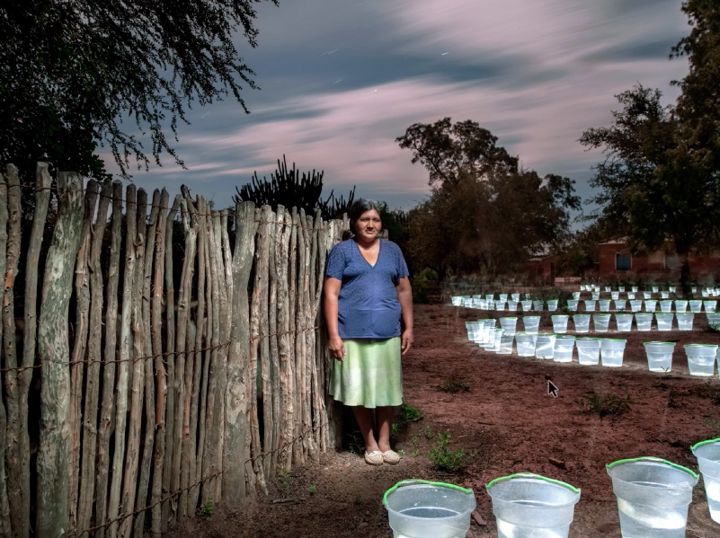 Alexander Chaskielberg