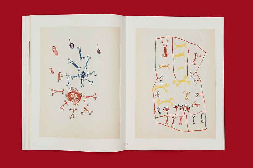 Claudia Andujar -  a luta yanomami 10