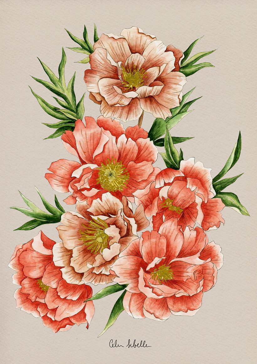 Flores. Acuarela - Illustration traditionnelle