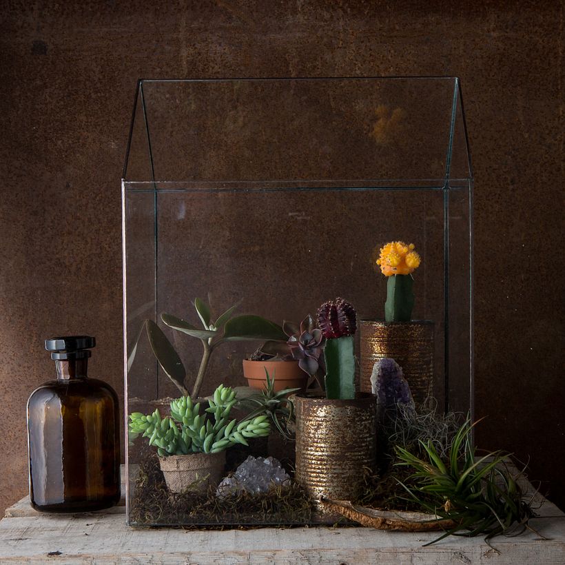 Tips for Creating a Botanical Nook in Your Home 1