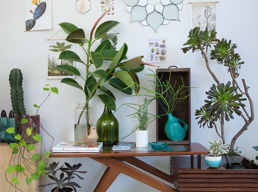 Tips for Creating a Botanical Nook in Your Home 3