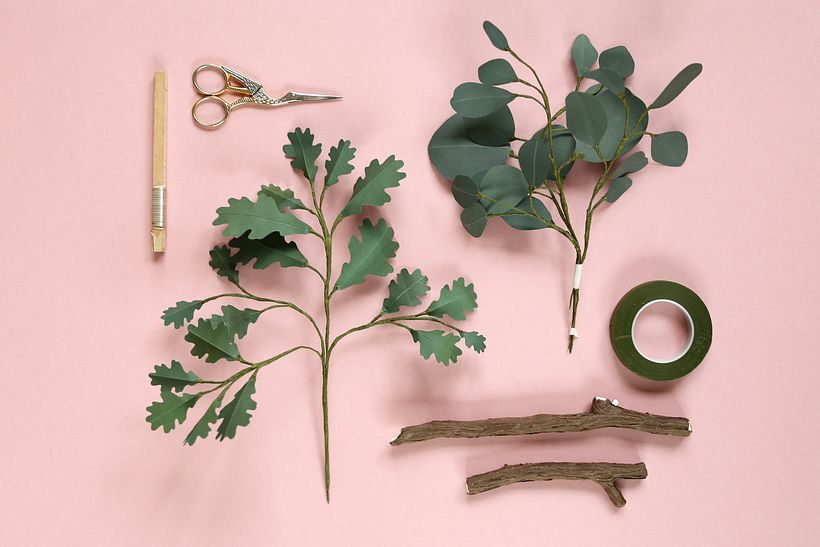 Branches 2 1