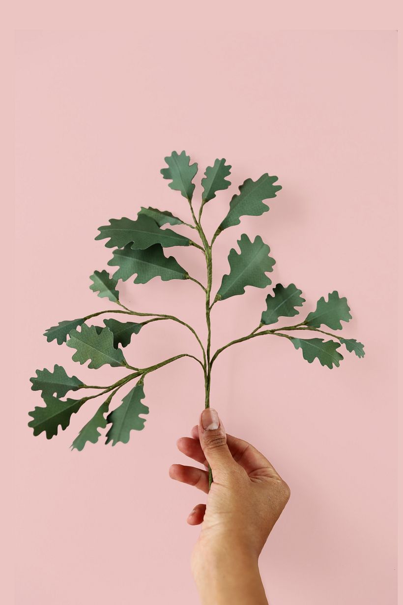 Branches 2 2
