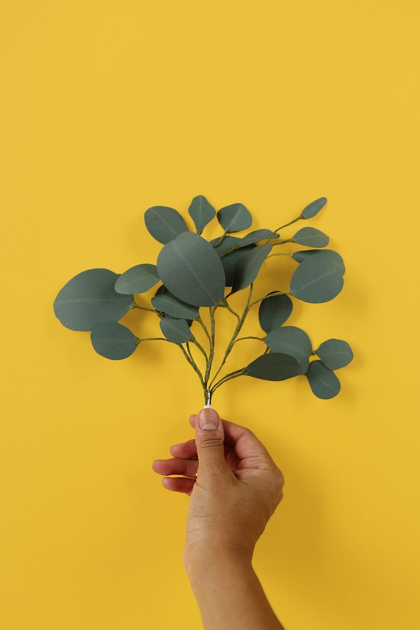 Branches 2 3