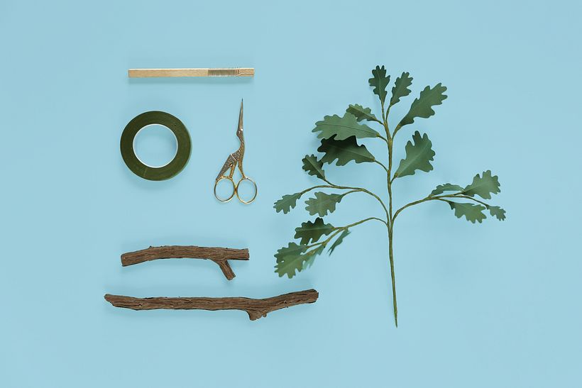 Branches 2 4