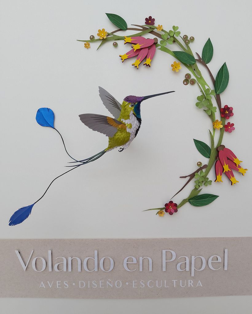 Mi Proyecto del curso, Técnicas avanzadas de papercraft: Colibrí cola de Espátula. 1