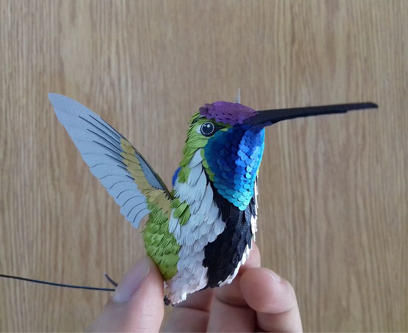 Mi Proyecto del curso, Técnicas avanzadas de papercraft: Colibrí cola de Espátula. 5