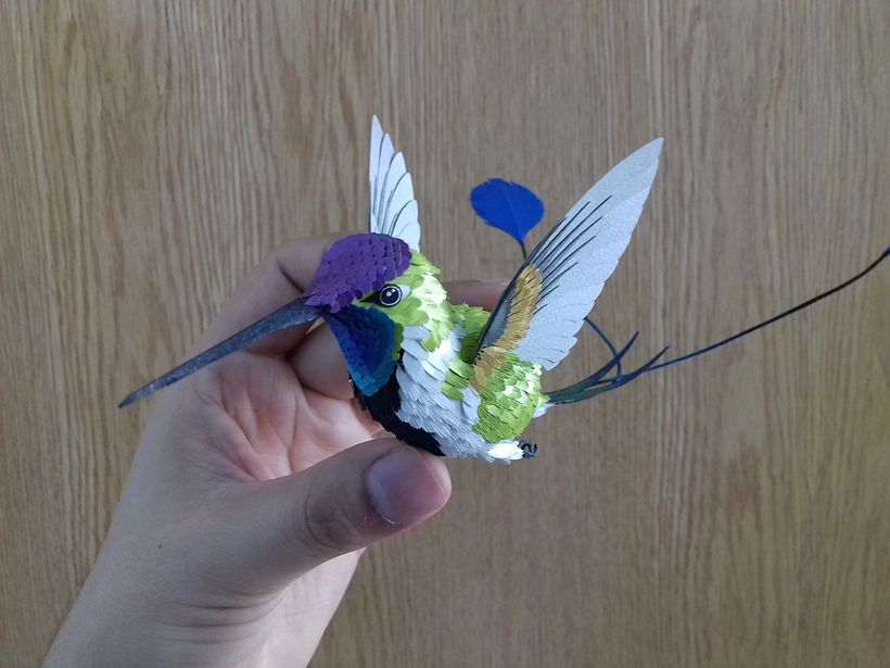 Mi Proyecto del curso, Técnicas avanzadas de papercraft: Colibrí cola de Espátula. 6