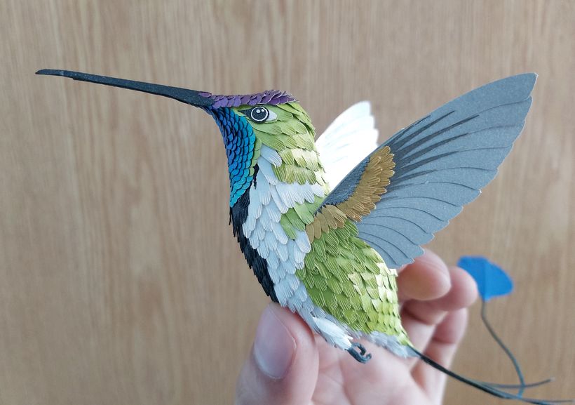 Mi Proyecto del curso, Técnicas avanzadas de papercraft: Colibrí cola de Espátula. 7