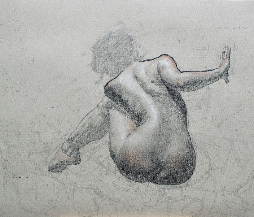 graphite, sanguine, & chalk on paper, 50 x 65cm