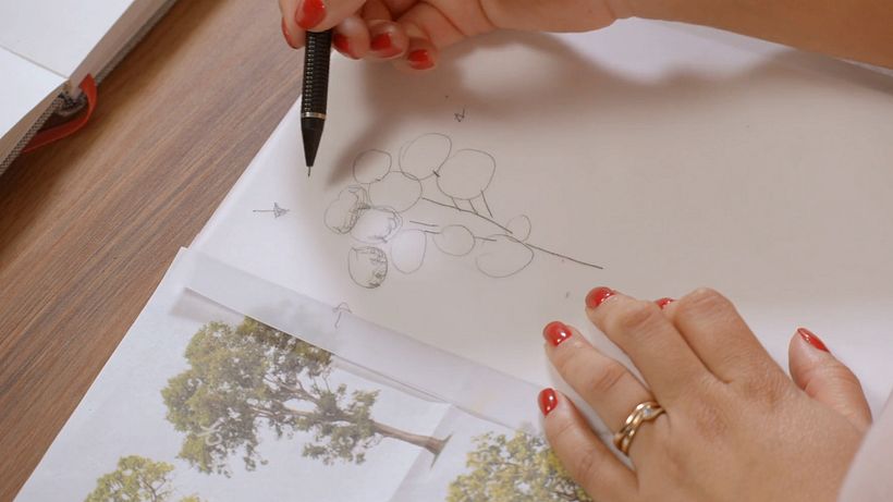 Tutorial Ilustración botánica: cómo dibujar un árbol 4
