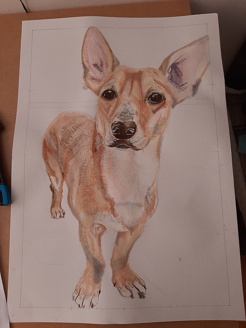 En proceso  1