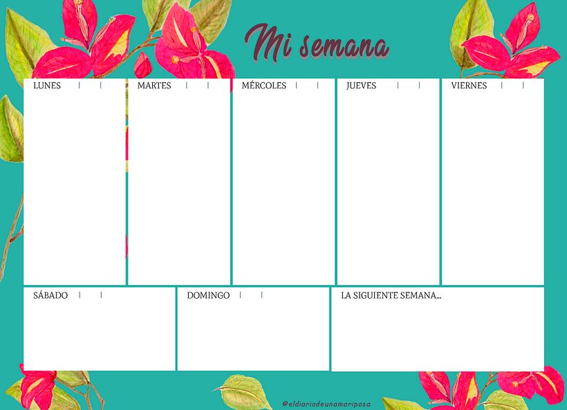 Al planificar una semana, lo hago con la energía de estos colores.