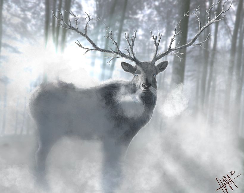 My project in Naturalist Animal Illustration with Procreate course 0