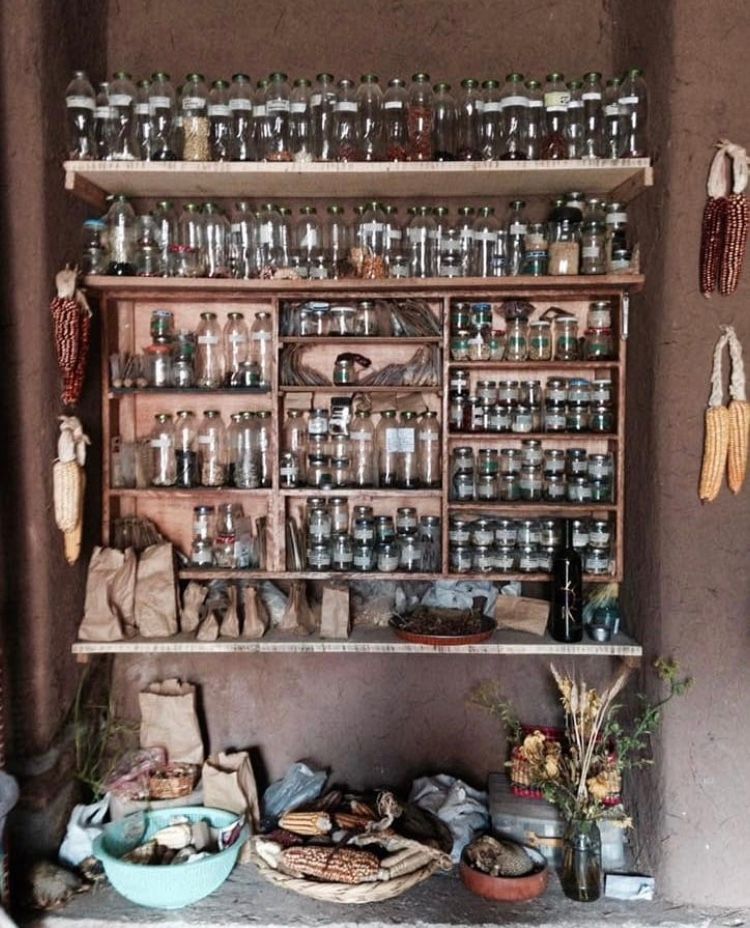 Condimentos naturales 🌱
