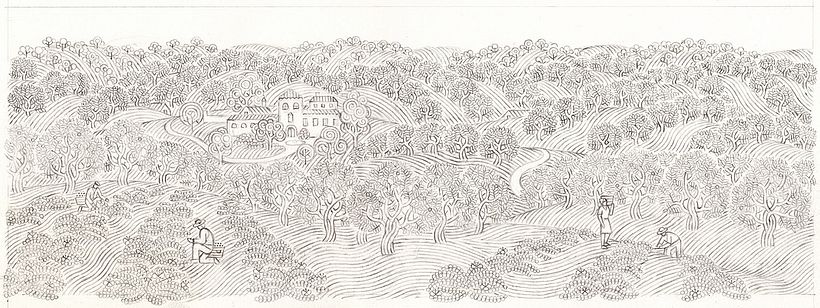 La Pedriza 1
