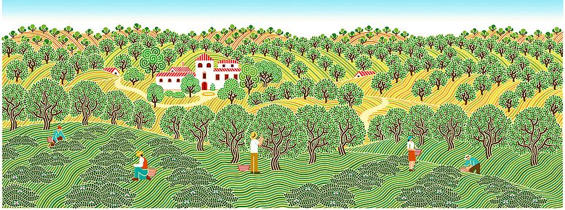 La Pedriza 2