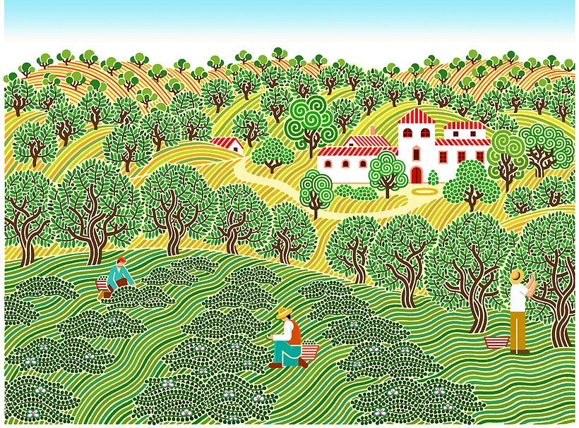 La Pedriza 4