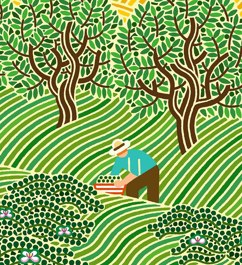 La Pedriza 9