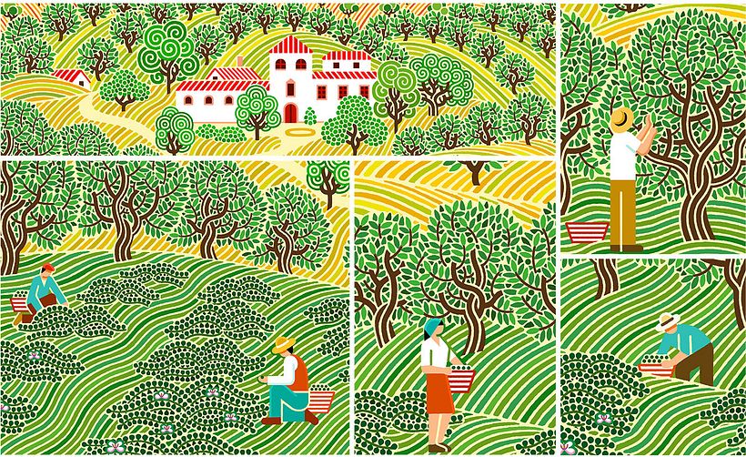 La Pedriza 10