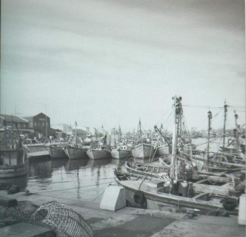 Puerto de Mar del Plata, sin gente y en invierno