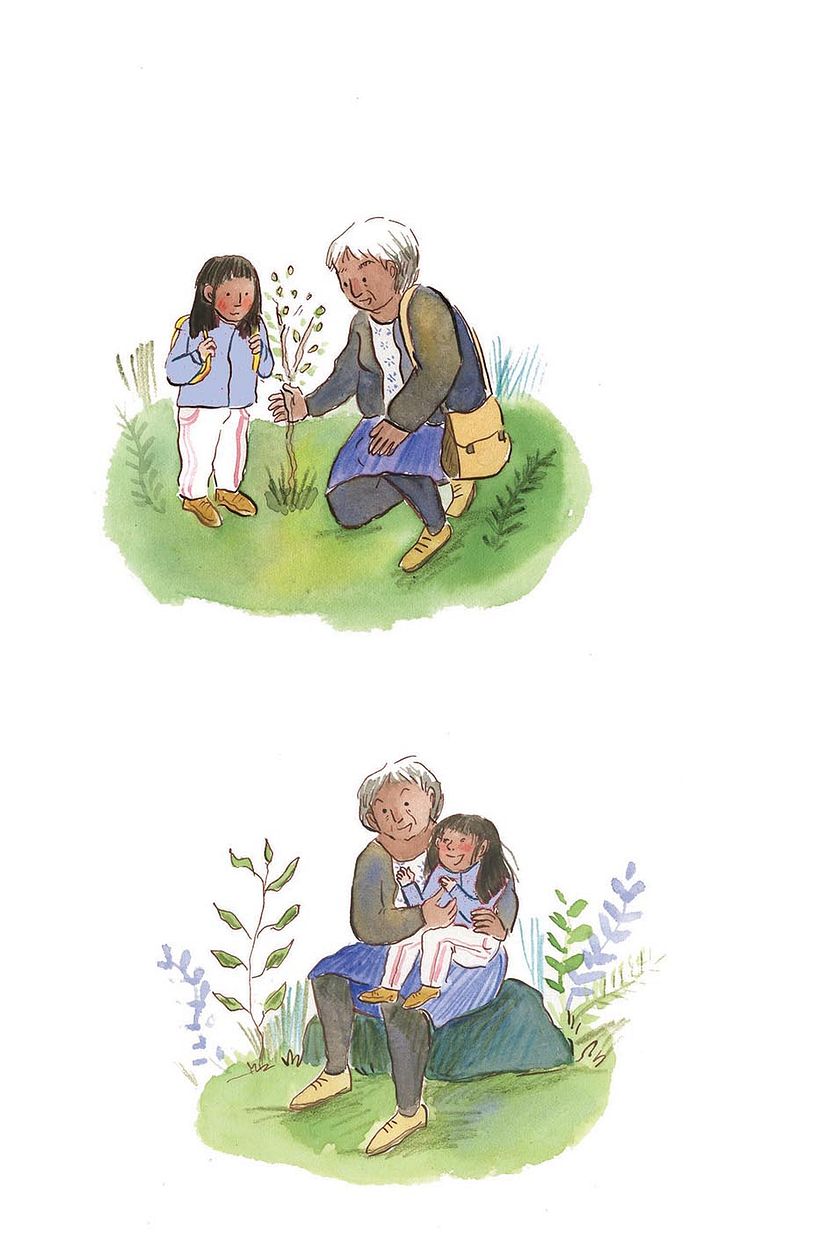 Los saberes de mi abuela, Lom Ediciones 0