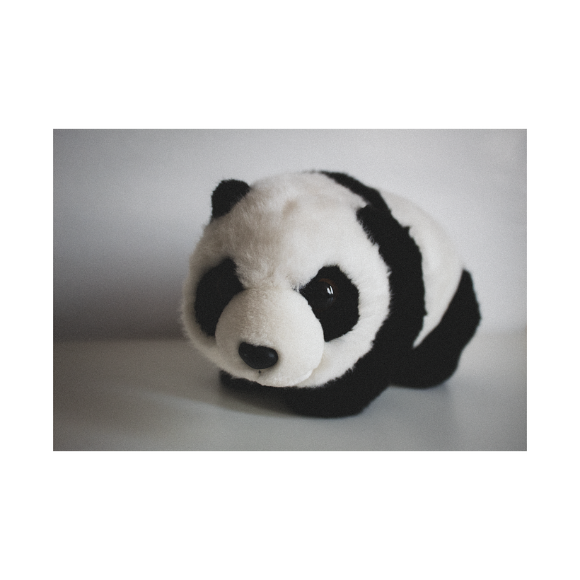 no tengo mascotas u.u, ese es mi peluche e.e