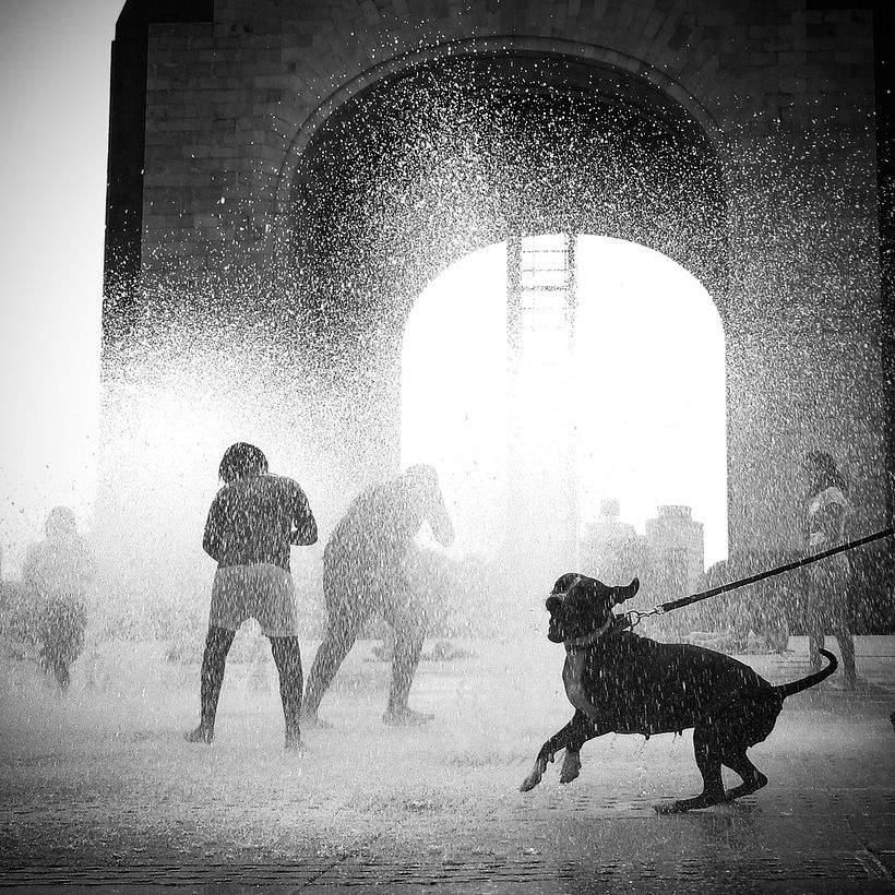 Reto fotográfico: 19 días de fotografía 1