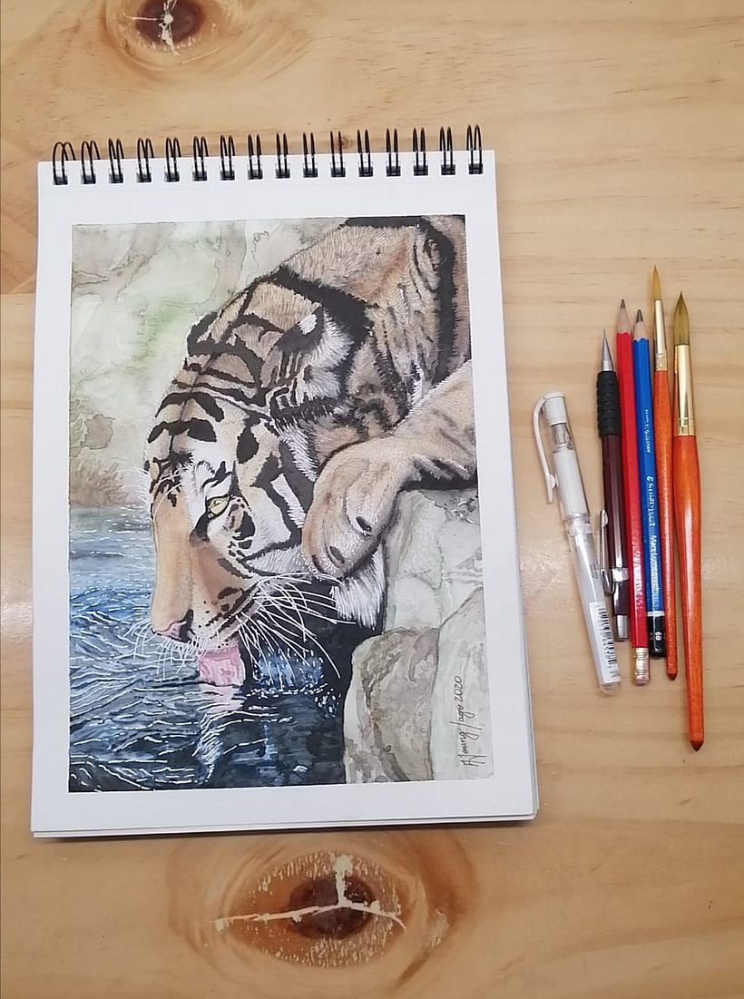 PROYECTO FINAL_TIGRE TOMANDO AGUA 0