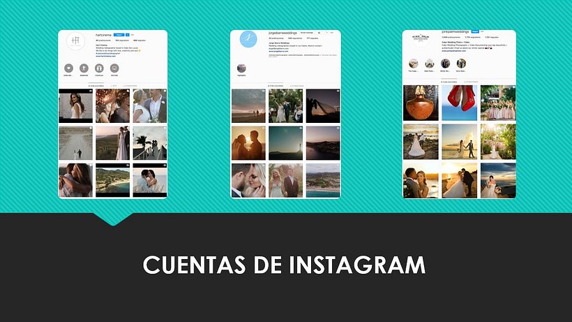 Mi Proyecto del curso: Introducción al community management 2