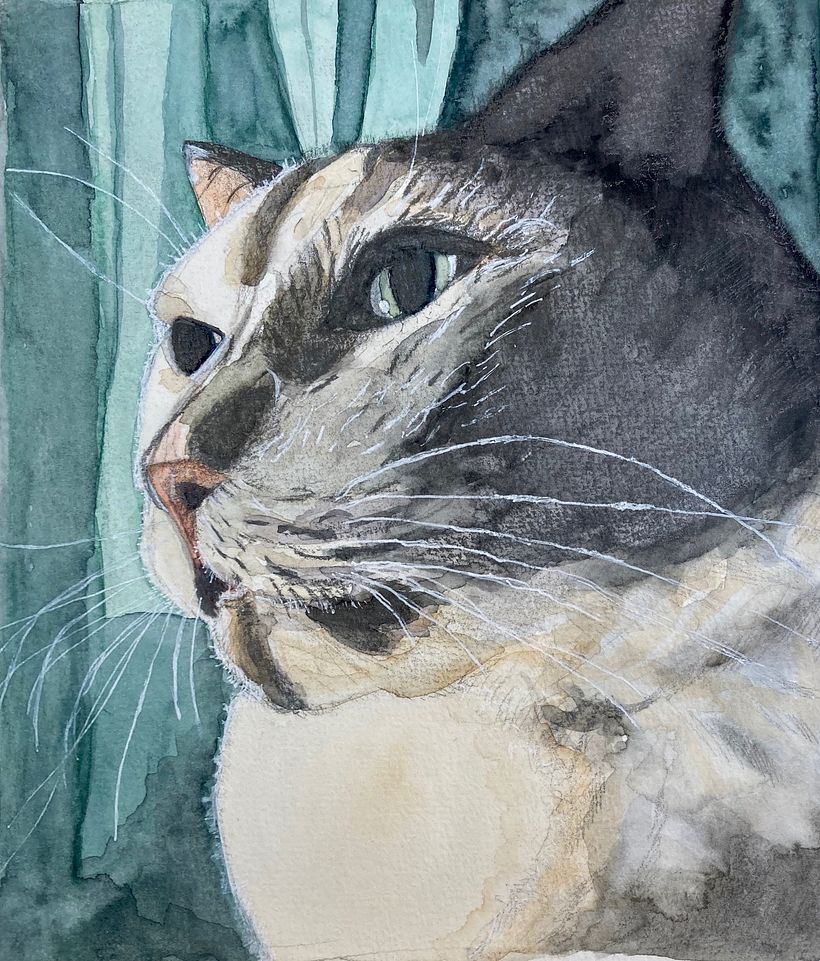 My project in Experimental Watercolor Techniques for Beginners course 0