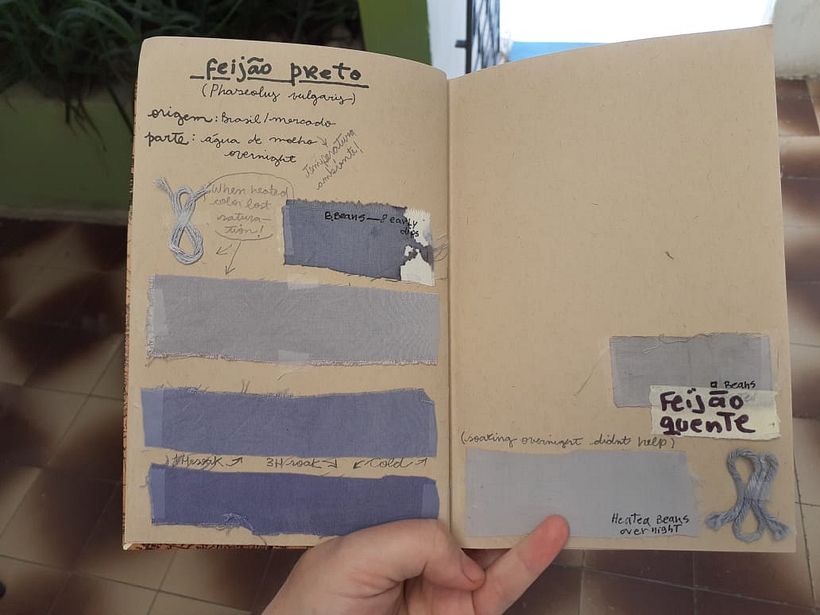 My project in Textile Dyeing with Natural Pigments course 2