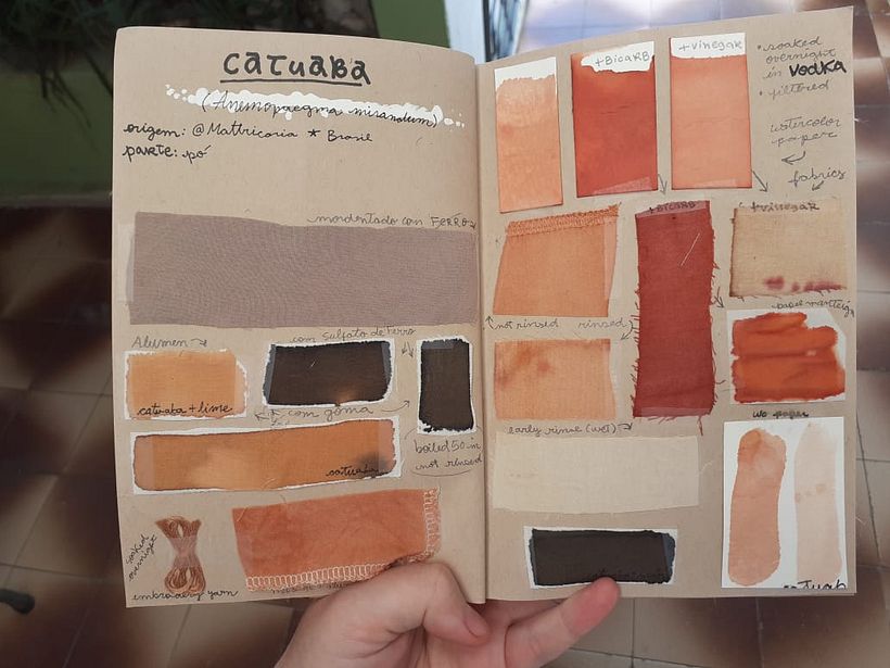 My project in Textile Dyeing with Natural Pigments course 3