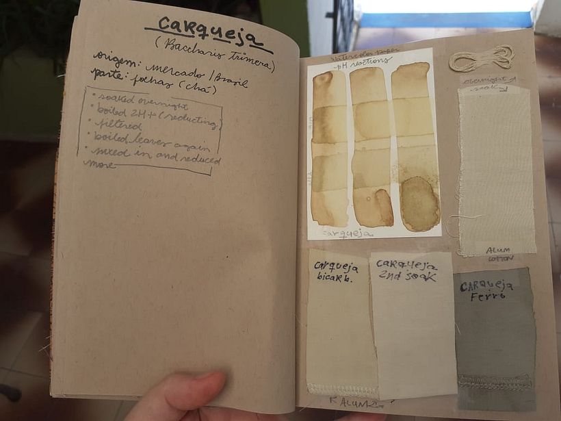 My project in Textile Dyeing with Natural Pigments course 6
