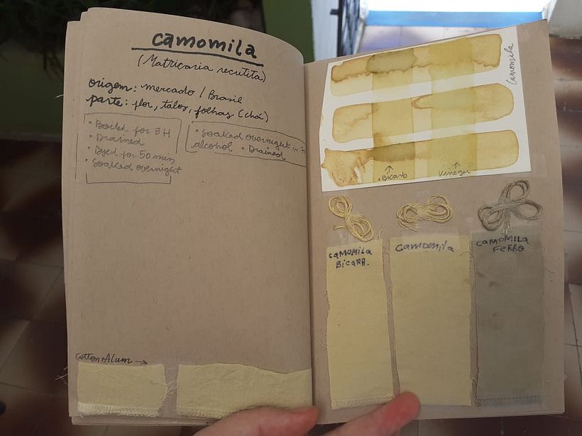 My project in Textile Dyeing with Natural Pigments course 7