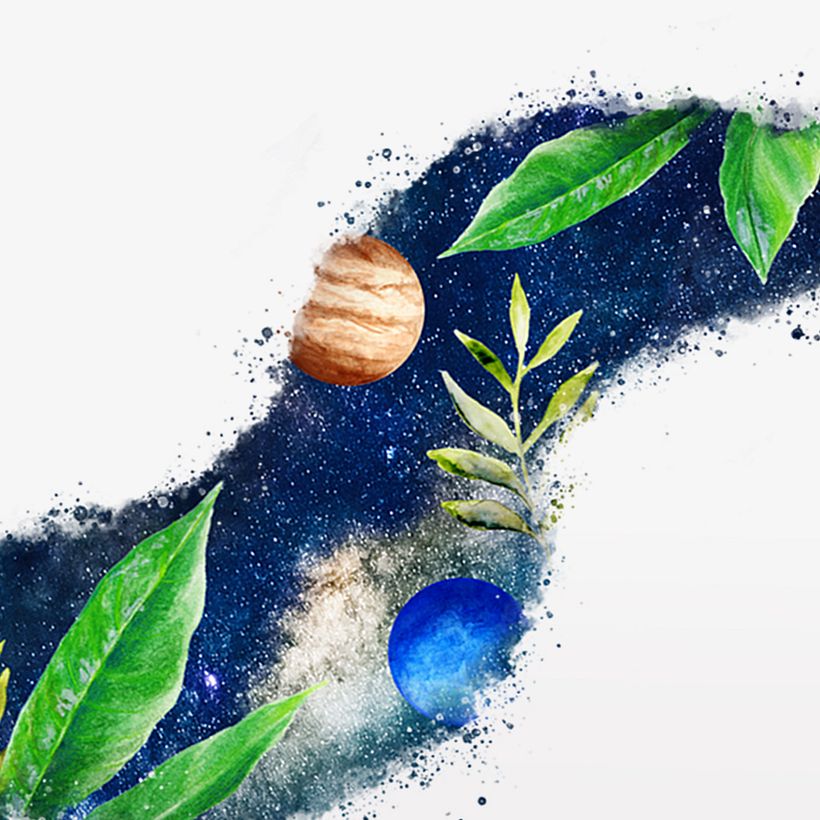 Conciencia - Raw Healing Chocolate - Branding & Identity