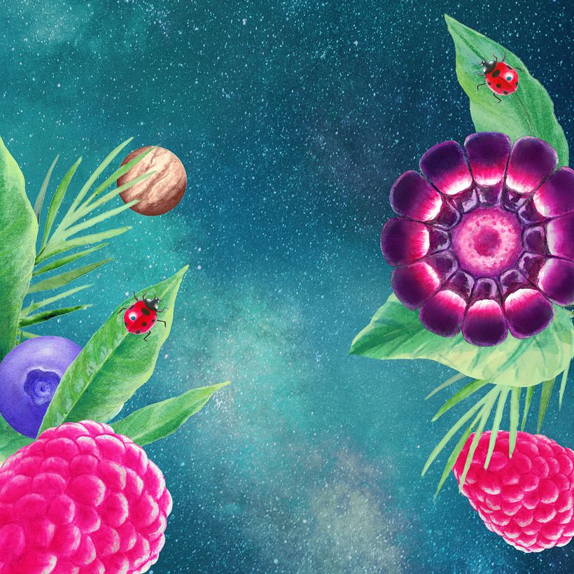 Conciencia - Raw Healing Chocolate - Branding & Identity