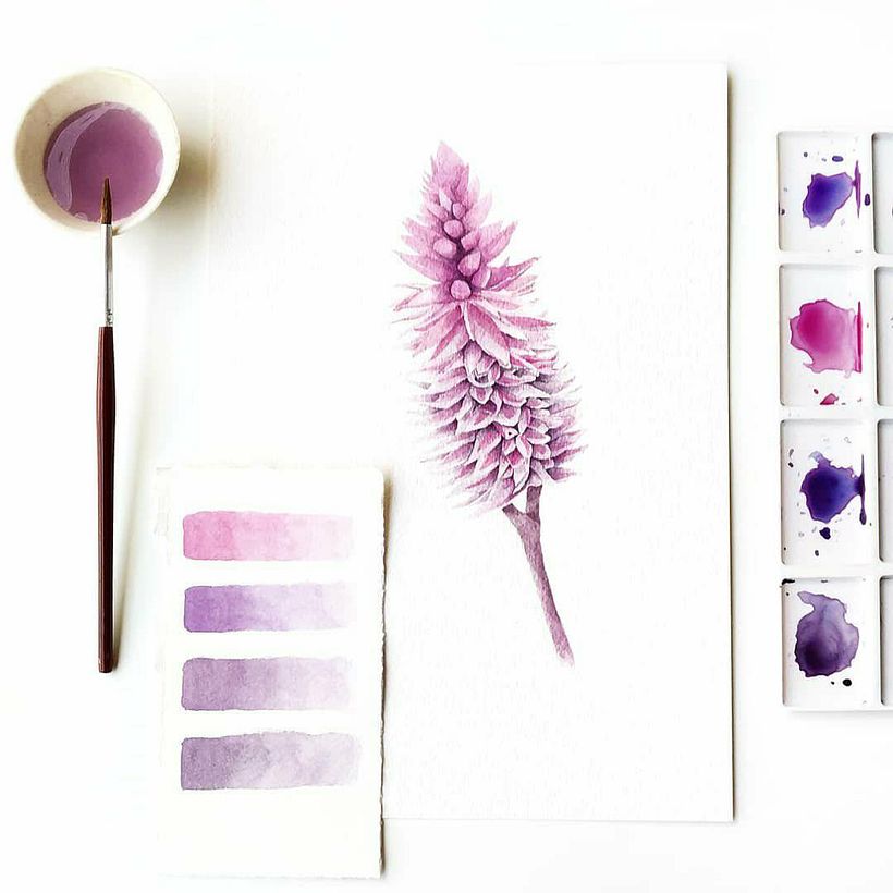 Aquarelas para TexPrima - Traditionelle Illustration